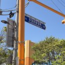 여유누리 | 부산 사직 야구장, 롯데 자이언츠 굿즈 누리 바다 키링 자판기 랜덤깡 후기