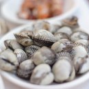 서해로1L | 11월, 놓치지 마세요! 가을의 끝을 장식하는 바다의 보물, 제철 꼬막 완벽 가이드 (효능, 산지, 요리...