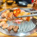 도니조아 이미지