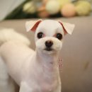 신원미용실 이미지