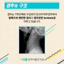 남이경희한의원 이미지