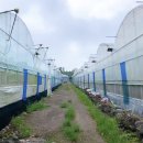 인화농장 이미지