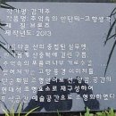 러나무