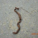 강교1리 이미지