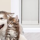 주식회사타비오 이미지