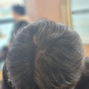 주식회사 화이트클린 | 탐나도래 제주 약산성샴푸. 향 좋은 두피관리 퍼퓸샴푸 추천