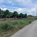 재광농장 이미지