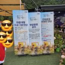 웰빙댄스 | [강원도 여행지 추천] 인제 가을 꽃축제 (용대관광지) 방문 후기