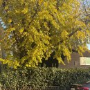 예린유치원 | 백예린 wanna see you dance again 콘서트 후기