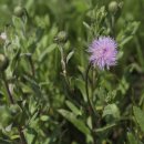 한옥스테이 북성리 이미지