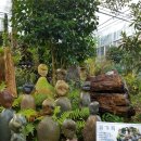 서구-01-01 이미지