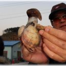 영파목장 이미지