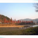 춘향로 이미지