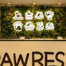 조이 애견 유치원 이미지