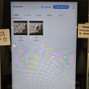 레이지타임 | 강남 맛집 레이지요거트 강남점 추천메뉴 솔직후기