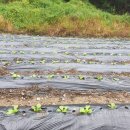 재복농장 이미지