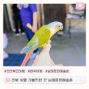 삼례문화예술촌 | 전북 여행 전주 근교 가볼 만한 곳 삼례문화예술촌