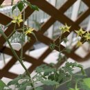 혜림농장 이미지