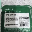 마켓컬리 피클 추천 평범한 오이피클 질렸다면 꼭 먹어봐야 할 집 반찬 연구소 유자향 오이 무피클 후기