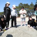 송호초등학교 이미지