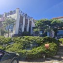 마이도물회 | 마이도 물회 - 시원하고 맛있는 물회의 세계