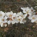 내가 누구개? 이미지