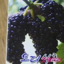 상주양잠영농조합법인