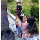 사물놀이 뿌리패 이미지