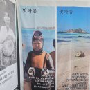 금능맛차롱 협동조합 이미지