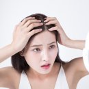 더스칼렛두피탈모센터