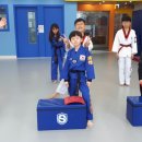 미래 태권도 이미지