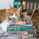 (주)한보 | 묘한보약 고양이 보양식 영양닭죽 우리 냥이 특식