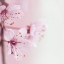 동화보건지소 이미지