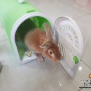 오룡 동물병원 이미지