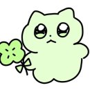 비마이피스