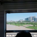 [5월 넷째주] 토요일 월요일 일기