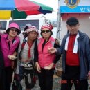 대산사슴농장 이미지