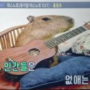 안용 이미지