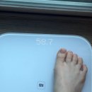 속시원한연합의원 | 가산연합의원 위고비 성지 방문! 저렴한 가격으로 시작한 위고비 0.25 첫 후기 체중 변화
