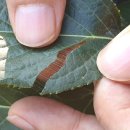 박종철한의원 이미지