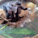 하루방능이백숙 이미지