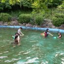 송학펜션 이미지