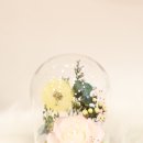 아이엠데이지