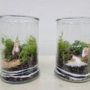 책상 위의 작은 정원, 테라리움 만들기 이미지