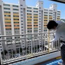 덕산베스트타운 이미지