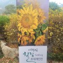 오늘제빵소 - 양평군 강남로 458 | 오늘제빵소