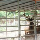 어답산농장 이미지