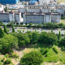 창원 내동패총 이미지