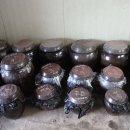 농장이야기 이미지