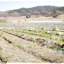 오번리 농장 이미지